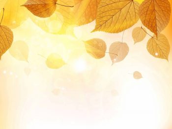 Шаблон для объявления "Осень" с листьями сверху