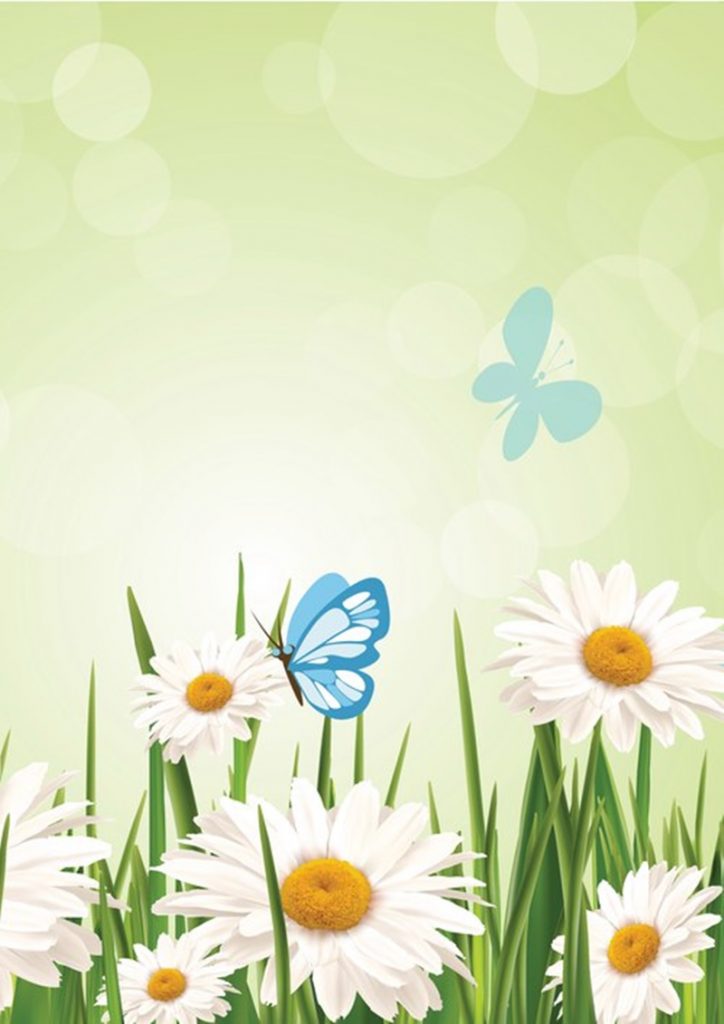 Весенний фон с ромашками и бабочками
