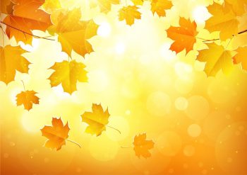 Фон листьев осень - Желтые листья на оранжевом фоне