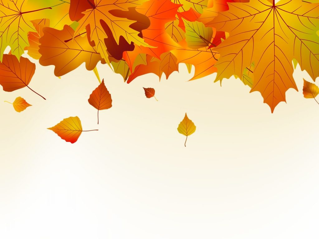 Фрагмент 1 плаката с осенними листьями "Листья и тыква"