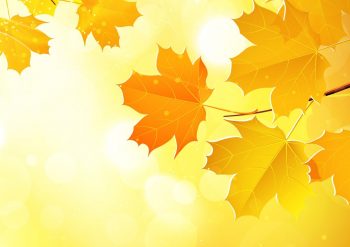 Фрагмент 2 фона с осенними листьями "Желтые листья на оранжевом фоне"