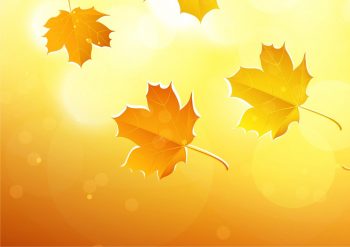 Фрагмент 3 фона с осенними листьями "Желтые листья на оранжевом фоне"