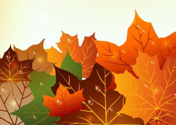 Фрагмент 3 4 фона с осенними листьями "Зеленые и оранжевые листья"