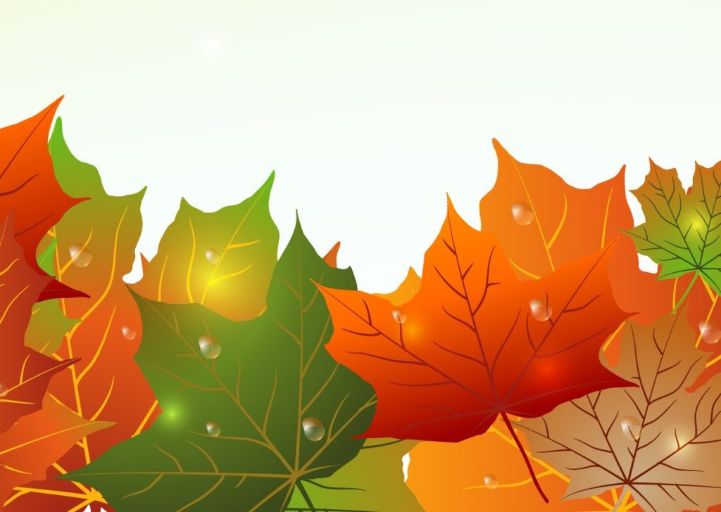 Фрагмент 4 фона с осенними листьями "Зеленые и оранжевые листья"
