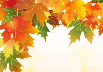 Фрагмент 1 фона с листьями осень "Маленькие листья вверху"