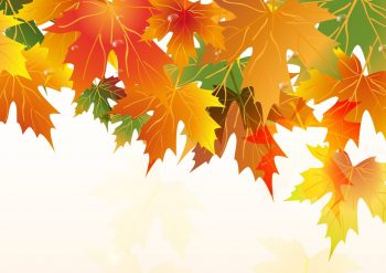 Фрагмент 2 фона с листьями осень "Маленькие листья вверху"