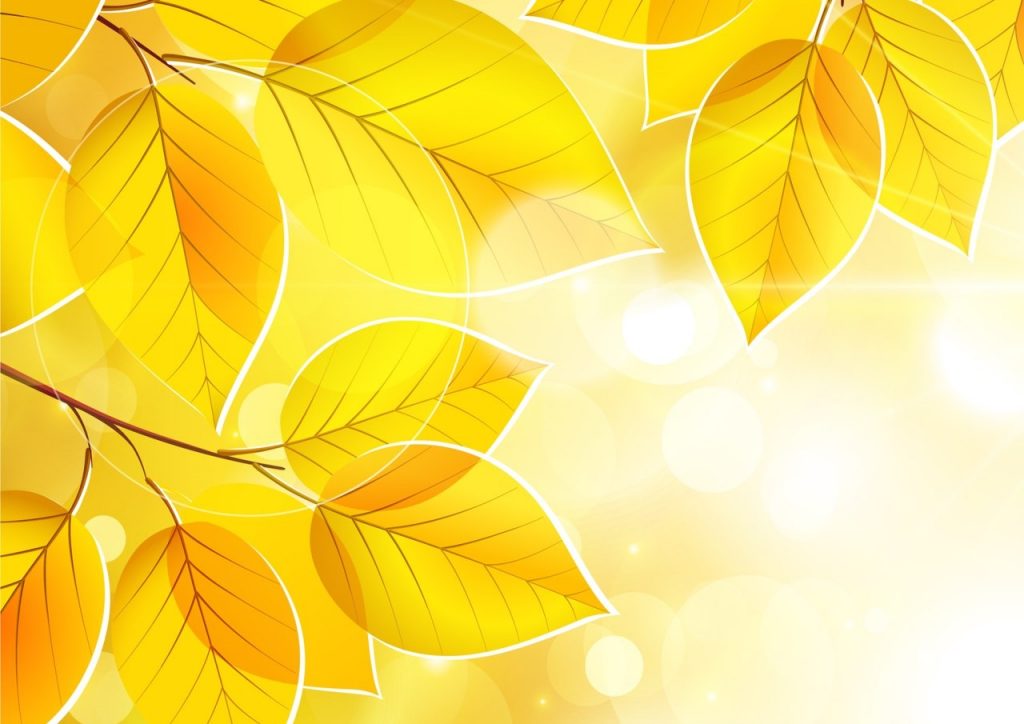 Фрагмент 1 фона с осенними листьями "Желтые листья"