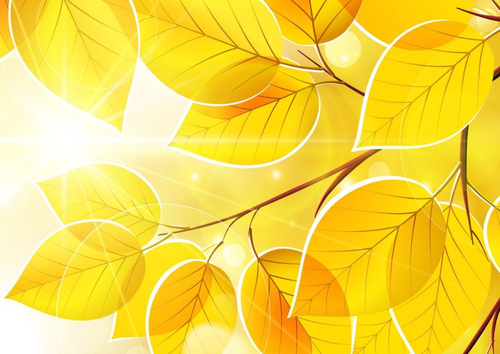 Фрагмент 2 фона с осенними листьями "Желтые листья"