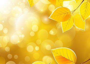 Фрагмент 4 фона с осенними листьями "Желтые листья"
