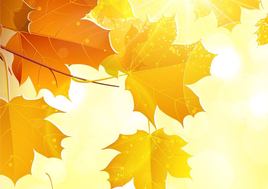 Фрагмент 1 фона с осенними листьями "Желтые листья на оранжевом фоне"