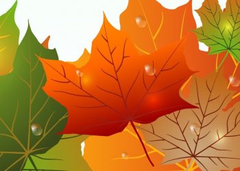 Фрагмент 9 большого фона осени с зелеными и оранжевыми листьями