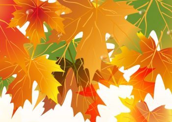 Фрагмент 3 большого фона с осенними листьями для стенда