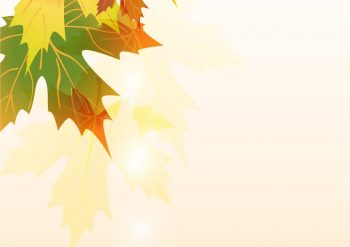 Фрагмент 4 большого фона с осенними листьями для стенда