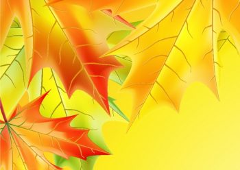 Фрагмент 1 большого осеннего фона с листьями на 1 сентября