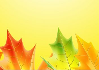 Фрагмент 8 большого осеннего фона с листьями на 1 сентября