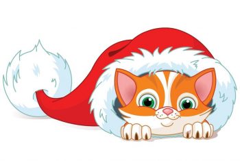 Новогодний котик в шапке Деда Мороза