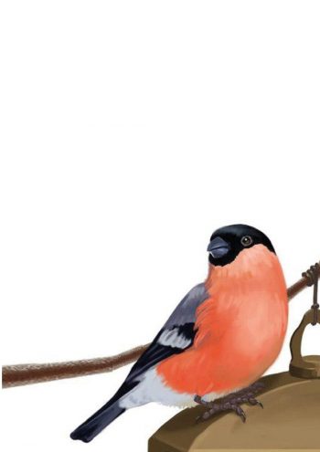 Фрагмент 1 плаката с зимними птичками у кормушки