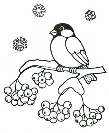 Зимняя птичка - раскраска зима