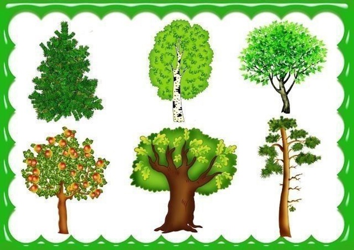 Деревья - картинка для детей