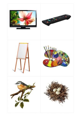 Телевизор, краски и гнездо - карточки для игры "Подбери пару"